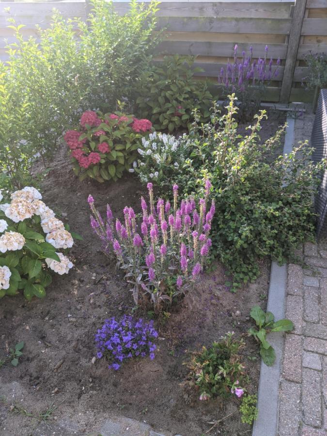 Logies21 Texel Bed & Breakfast Oosterend  Exterior foto